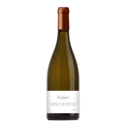 Prosecco ‘Il Creatore’ BIO